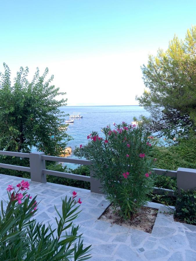 Beachfront Apartment Rosa Del Mar Jardin Мощеничка-Драга Экстерьер фото